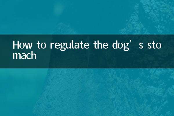 How to regulate the dog’s stomach