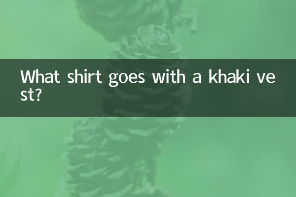 ¿Qué camisa combina con un chaleco caqui?