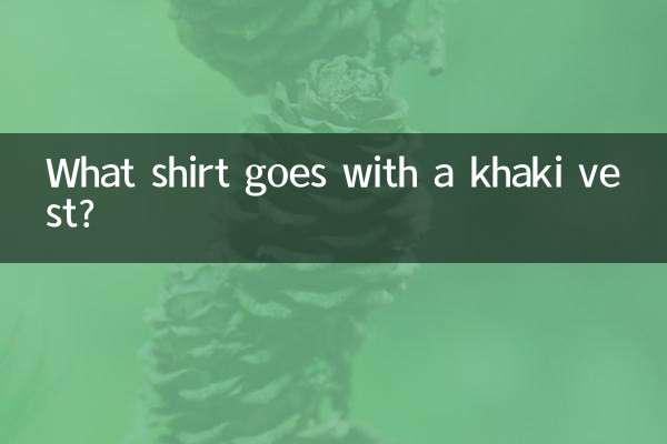 ¿Qué camisa combina con un chaleco caqui?