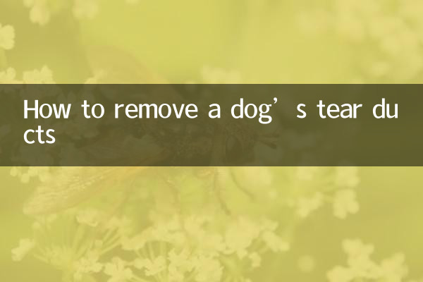 Как удалить слезные протоки у собаки