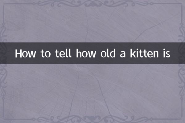子猫の年齢を知る方法