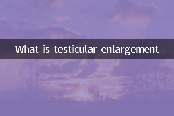 精巣肥大とは何ですか