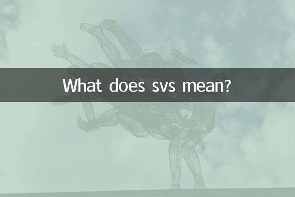 ¿Qué significa svs?