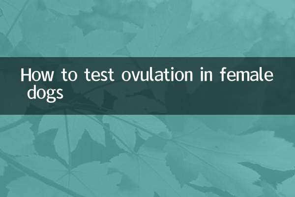 암컷 개에서 배란을 테스트하는 방법