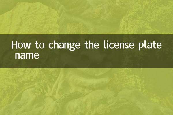 번호판 이름을 변경하는 방법