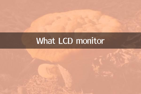 কি LCD মনিটর