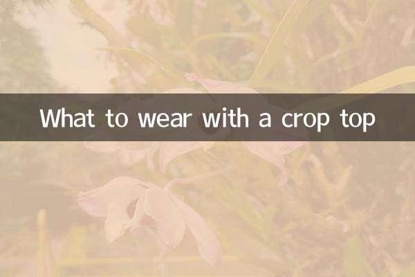 크롭탑과 함께 무엇을 입을까?