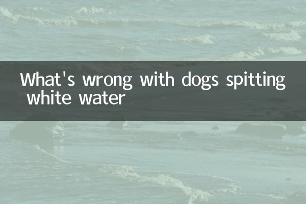 What's wrong with dogs spitting white water