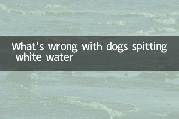 What's wrong with dogs spitting white water
