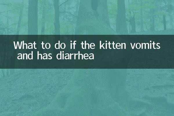 Que faire si le chaton vomit et a de la diarrhée