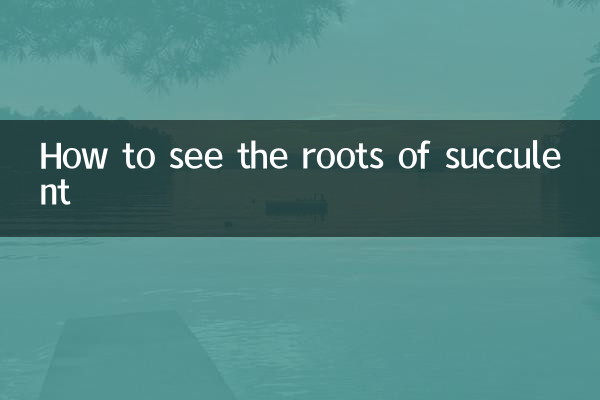 How to see the roots of succulent