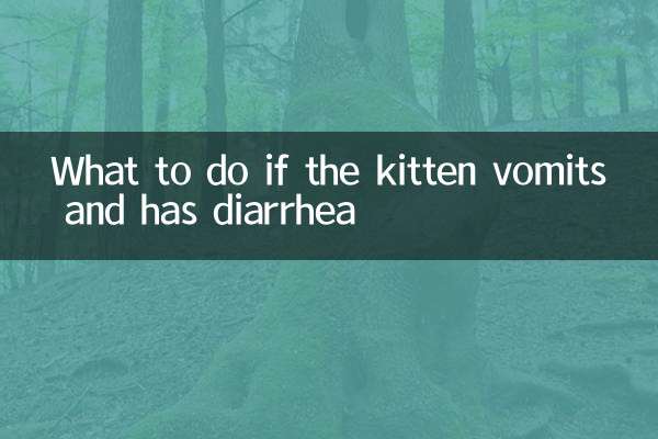 Que faire si le chaton vomit et a de la diarrhée
