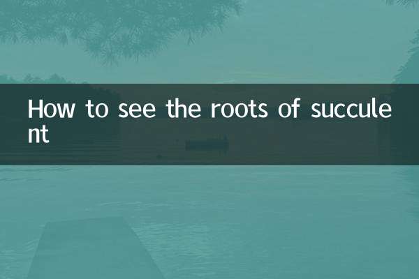 How to see the roots of succulent