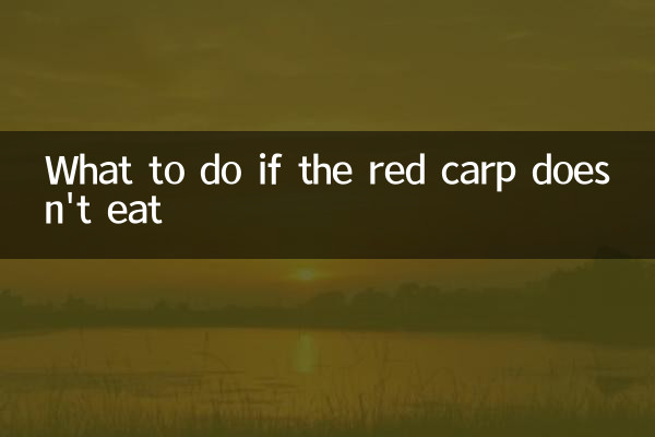 Que faire si la carpe rouge ne mange pas