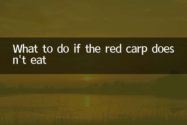 Que faire si la carpe rouge ne mange pas