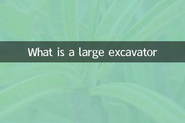 What is a large excavator
