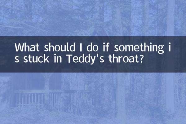 Que dois-je faire si quelque chose est coincé dans la gorge de Teddy ?