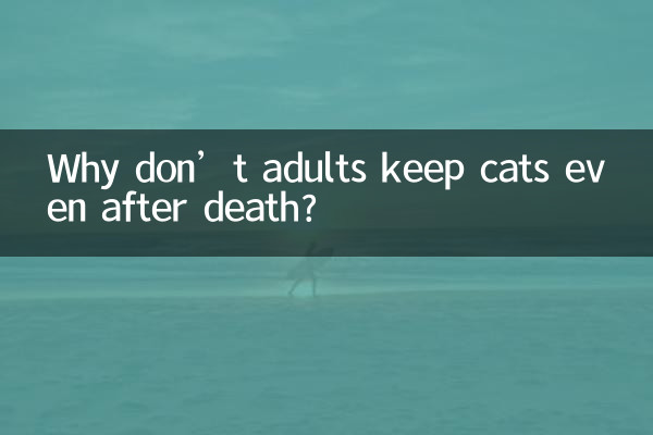Por que os adultos não mantêm gatos mesmo após a morte?