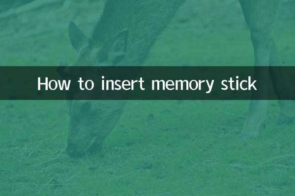 Come inserire la memory stick