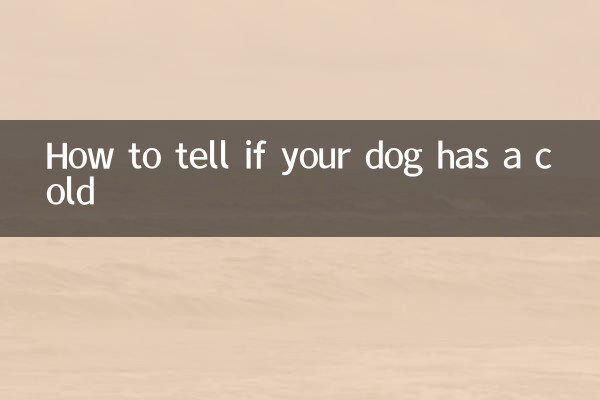 Come sapere se il tuo cane ha il raffreddore