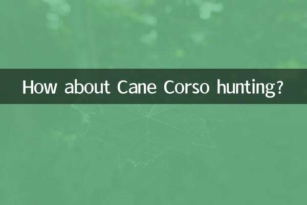 در مورد شکار Cane Corso چطور؟