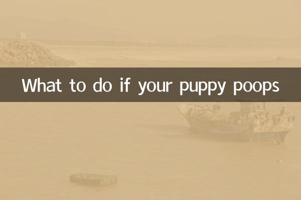 Cosa fare se il tuo cucciolo fa la cacca