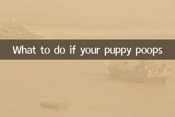 Что делать, если щенок какает