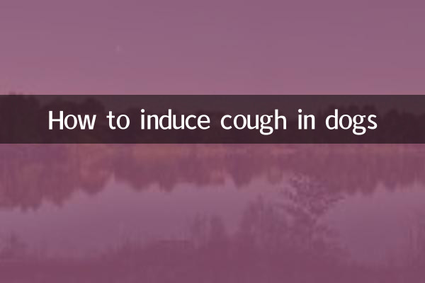 怎麼給狗狗誘咳