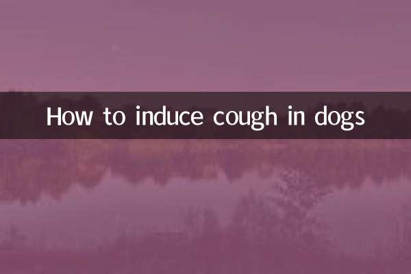 怎麼給狗狗誘咳