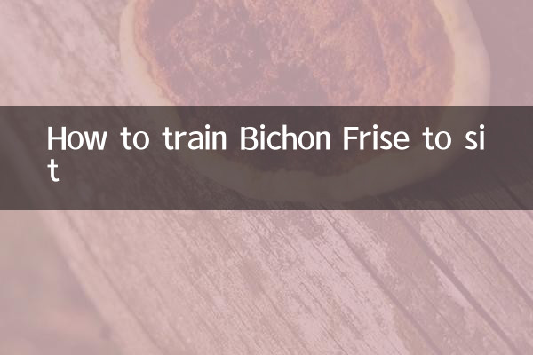 Wie man Bichon Frise das Sitzen beibringt