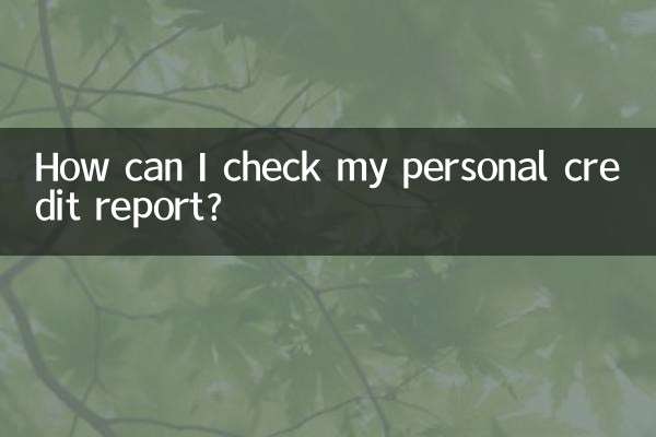 개인 신용 보고서를 어떻게 확인할 수 있나요?