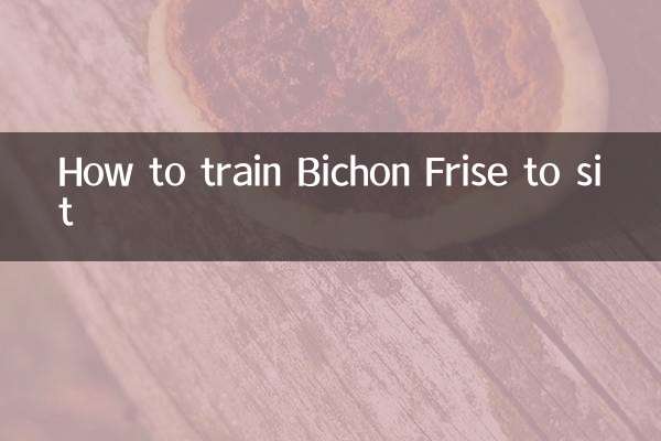 Wie man Bichon Frise das Sitzen beibringt