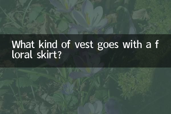What kind of vest goes with a floral skirt?