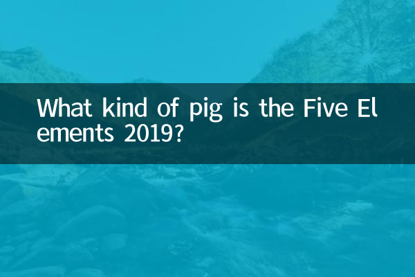 Five Elements 2019 چه نوع خوکی است؟
