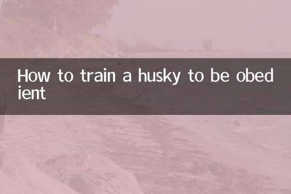 چگونه یک هاسکی را برای اطاعت تربیت کنیم