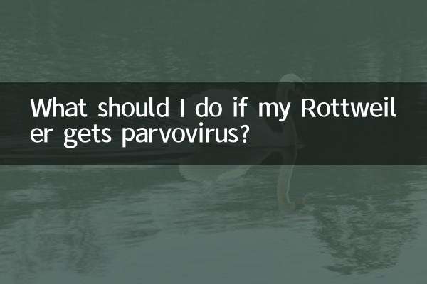 What should I do if my Rottweiler gets parvovirus?
