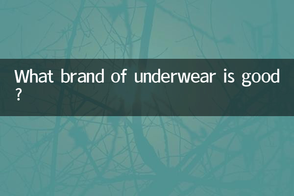 下着はどこのブランドがいいですか？