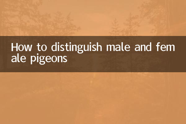 Как отличить голубей мужского и женского пола