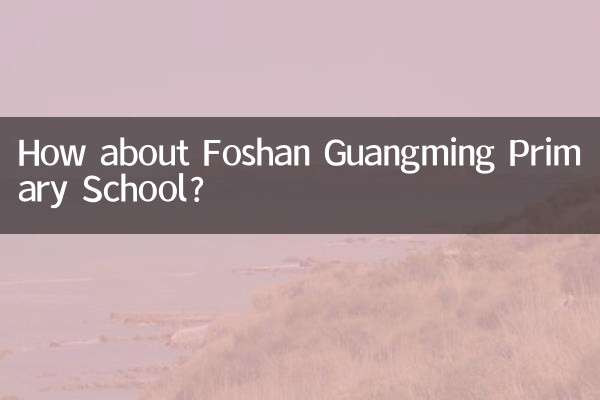 ¿Qué tal la escuela primaria Foshan Guangming?