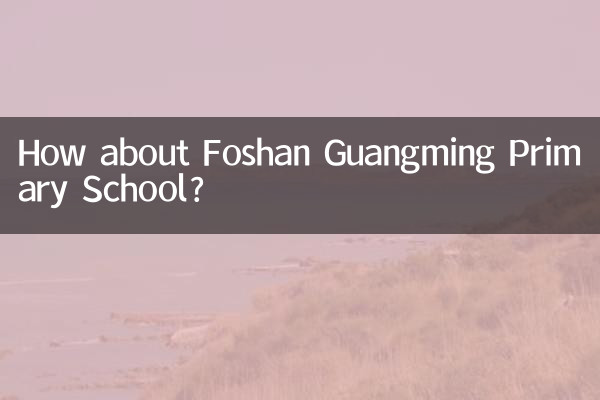 ¿Qué tal la escuela primaria Foshan Guangming?