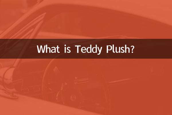 테디 플러시 천은 무엇입니까?