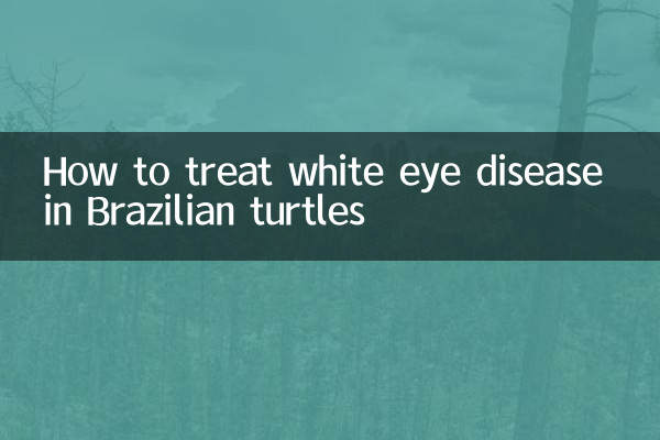 Cómo tratar la enfermedad del ojo blanco en las tortugas brasileñas