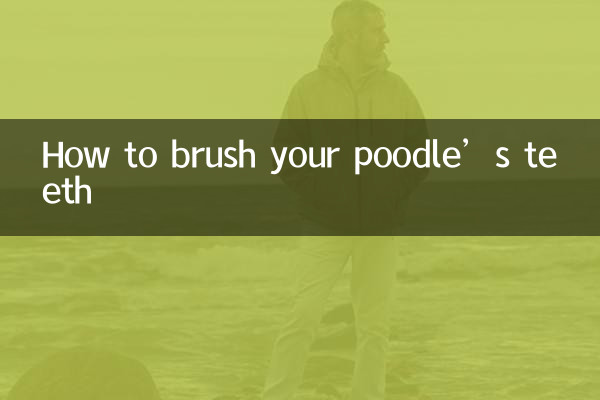 プードルの歯の磨き方
