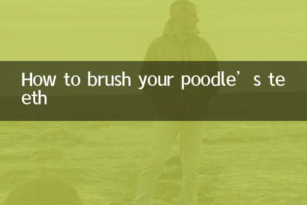 अपने पूडल के दांतों को कैसे ब्रश करें