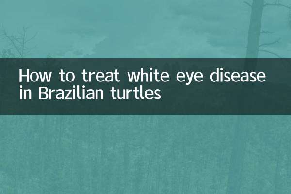 브라질 거북이의 백안병 치료 방법