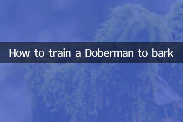 Como treinar um Doberman para latir