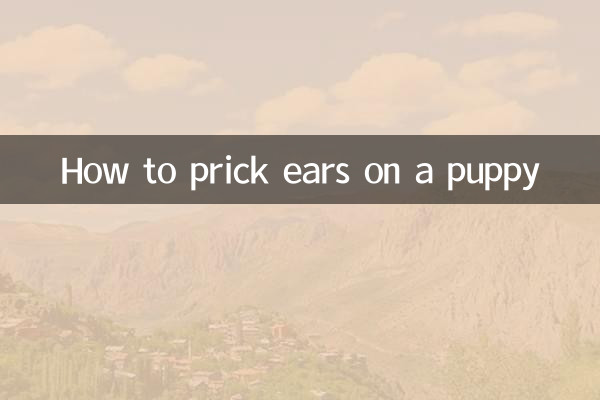 Wie man einem Welpen die Ohren spitzt