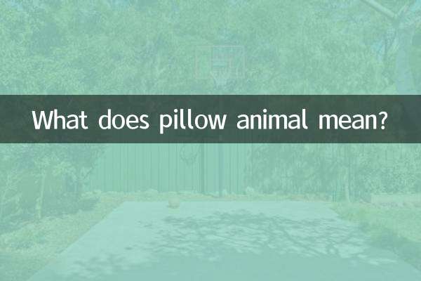 What does pillow animal mean?