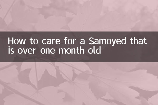 生後1ヶ月を過ぎたサモエドの飼い方