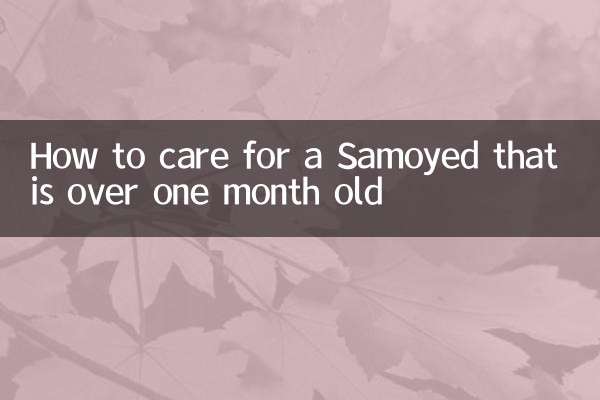生後1ヶ月を過ぎたサモエドの飼い方